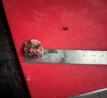 角切牛肋條切配規格：長寬高皆 2.5 公分；每塊原塊不同，可接受誤差 ±0.5 公分