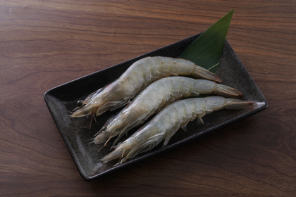 特大白海老