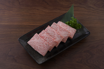 日本A5翼板金磚